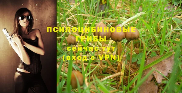 mdpv Алексеевка