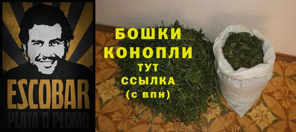 СК Аркадак