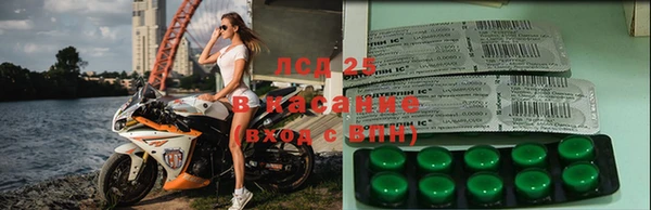 СК Аркадак