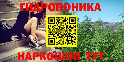 стафф Донецк