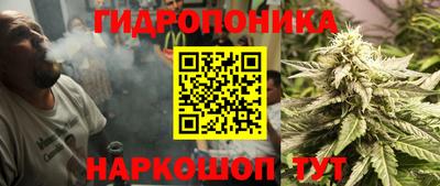 стафф Донецк