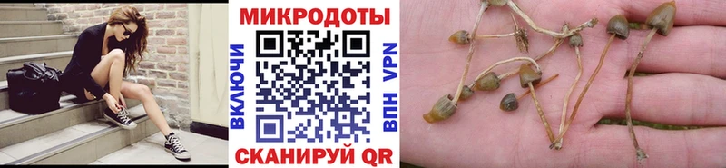 Псилоцибиновые грибы мухоморы  МЕГА ТОР  Мытищи 